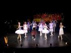 DSC07133.JPG