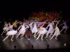 DSC07137.JPG