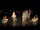 DSC07484.JPG