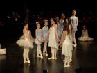 DSC07493.JPG