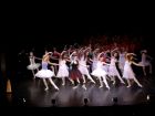 DSC07561.JPG
