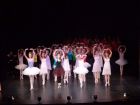 DSC07563.JPG